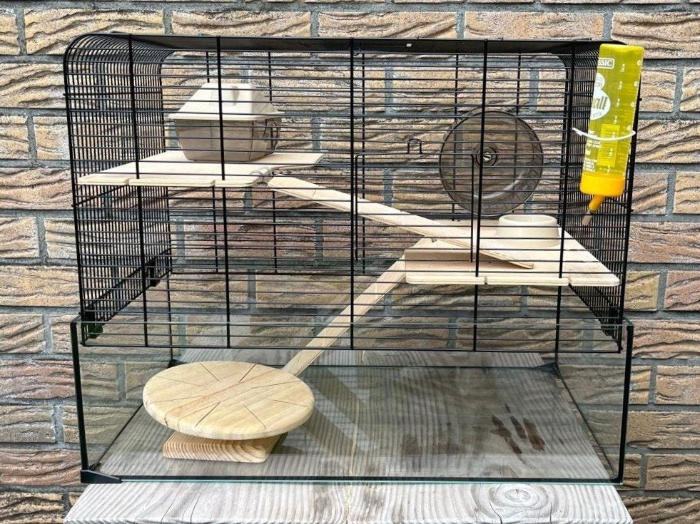 Hamsterhok of -kooi voor dwerghamsters en knaagdieren, Kooi, Zo goed als nieuw, Ophalen, Minder dan 60 cm