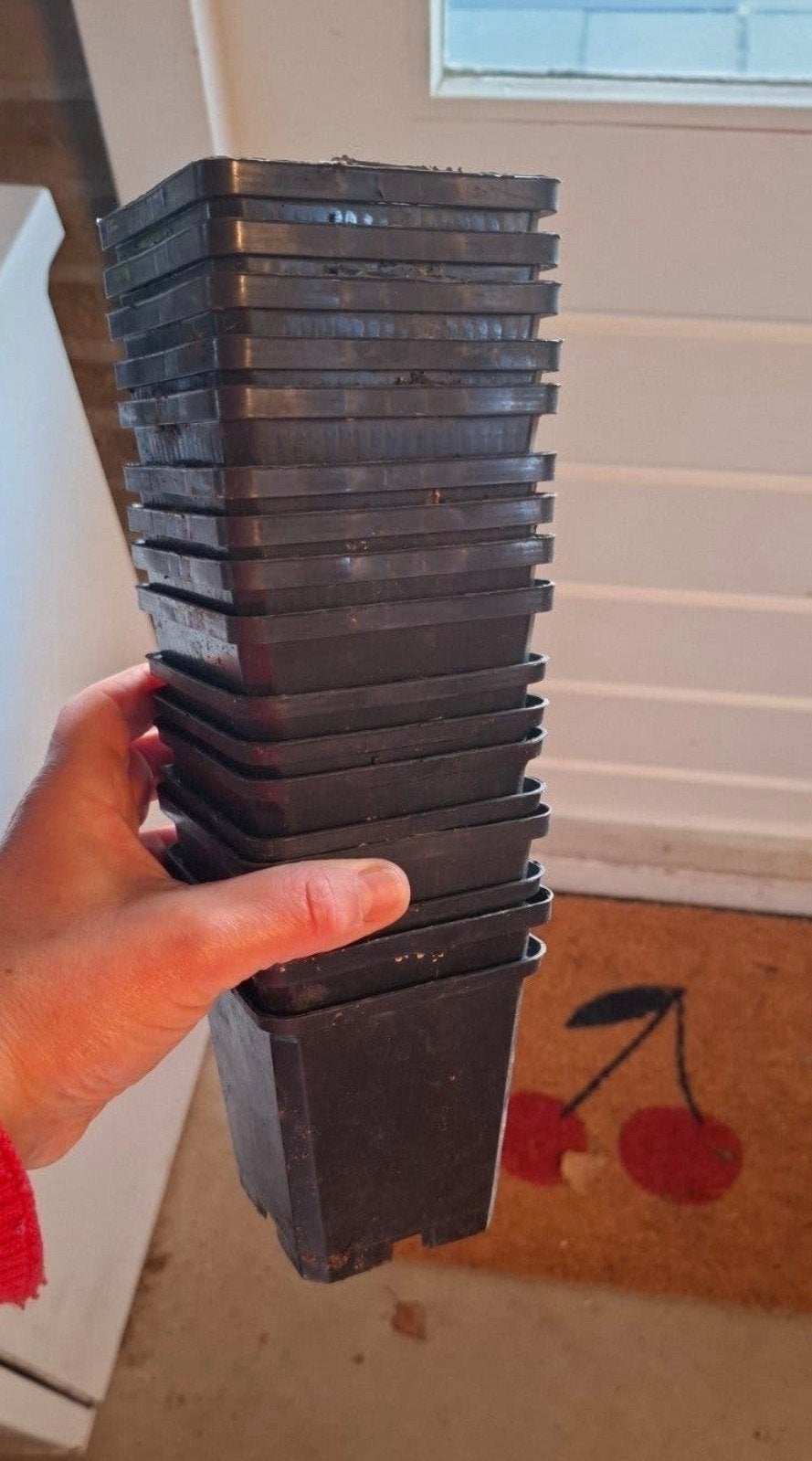 Kweekpotjes P9 100 stuks, Kunststof, Gebruikt, Minder dan 30 cm, Minder dan 60 cm