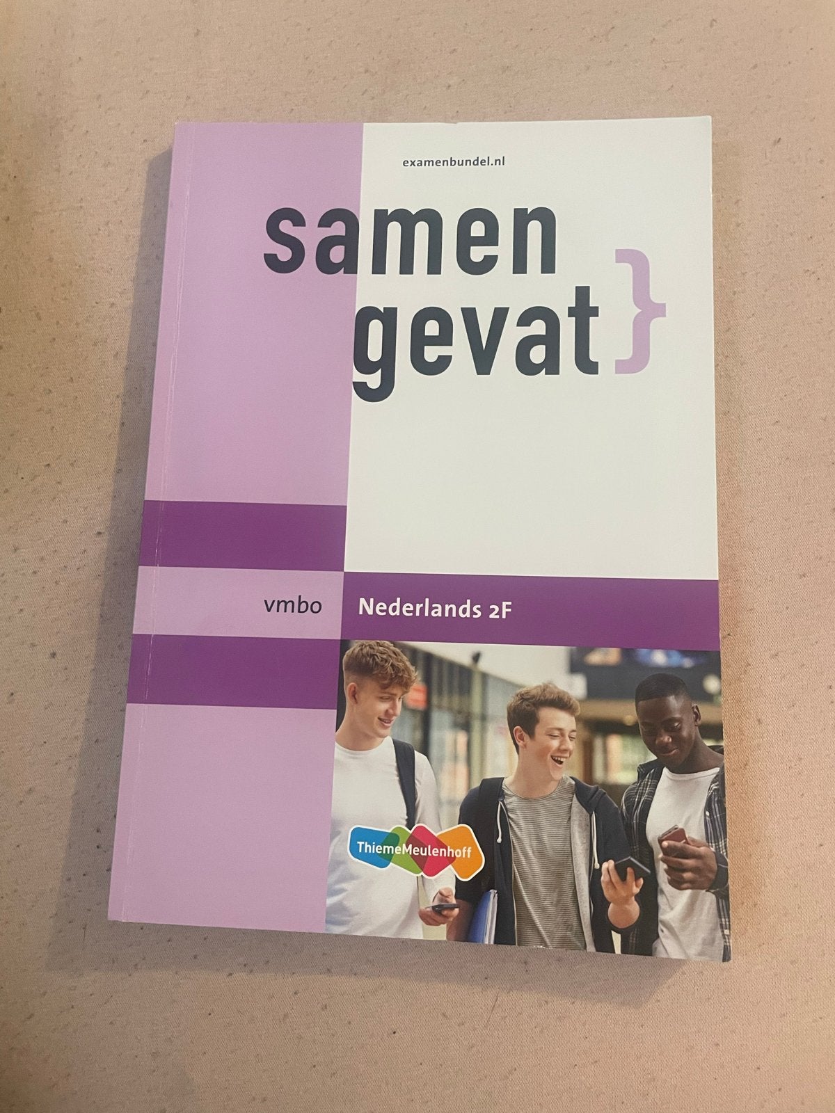 Samengevat VMBO Nederlands 2F Examenbundel, Boeken, Schoolboeken, Ophalen of Verzenden, Zo goed als nieuw, VMBO, Nederlands