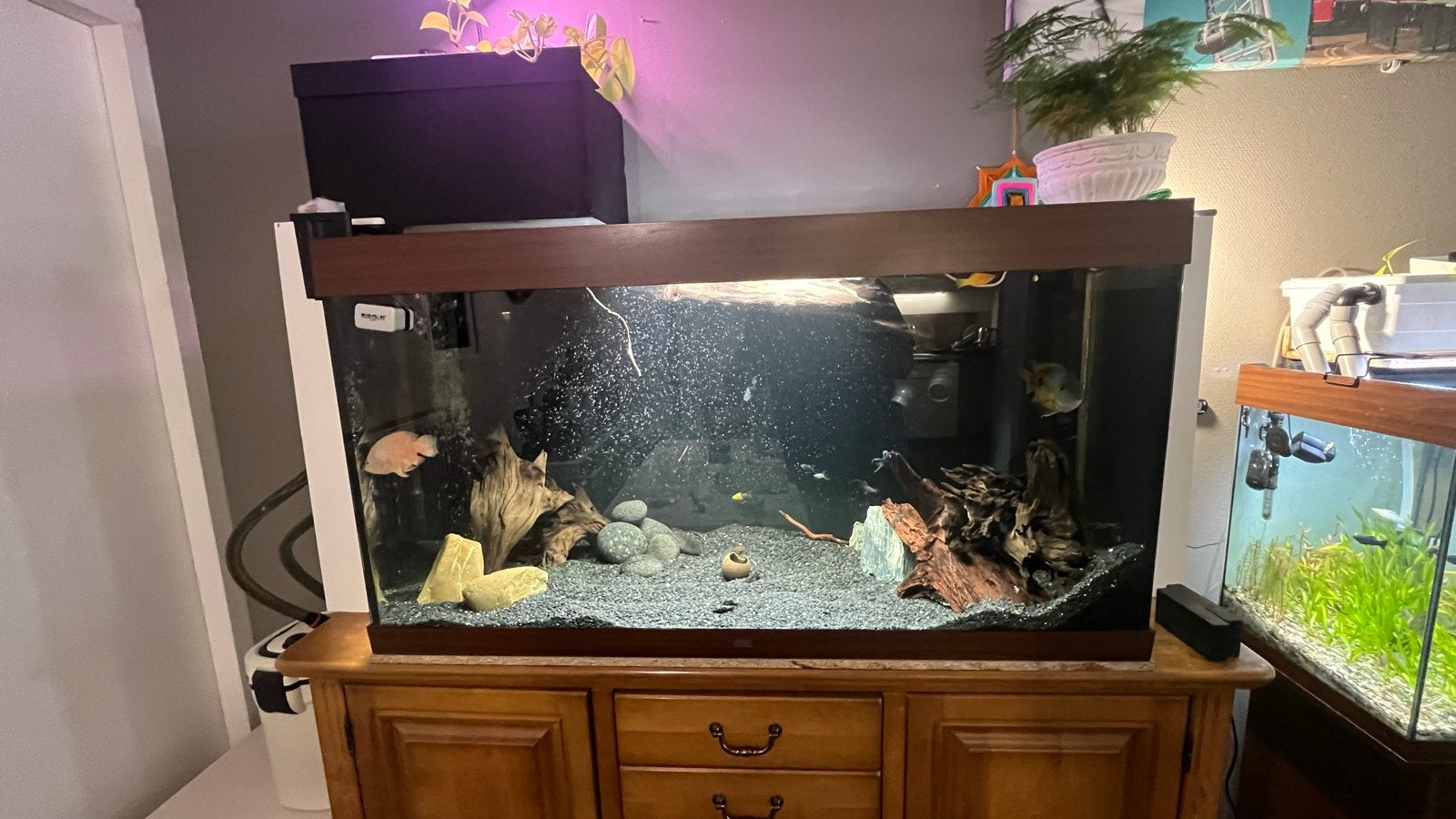 Aquarium Juwel 360 (120.50.60), Dieren en Toebehoren, Ophalen, Gebruikt, Pomp, Leeg aquarium