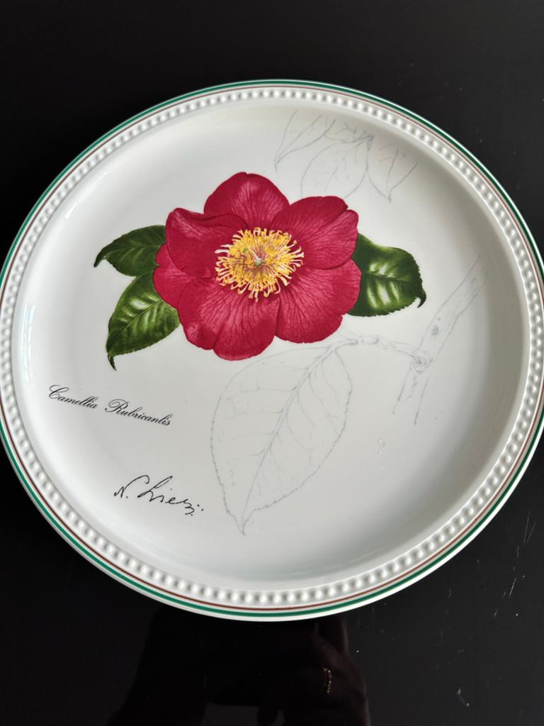 Villeroy & Boch Wandbord Camellia Rubricans 1996, Ophalen