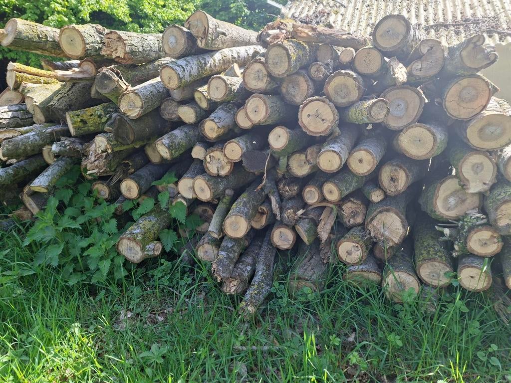 Haardhout kachelhout populier, Tuin en Terras, Haardhout, 6 m³ of meer, Ophalen, Overige houtsoorten, Stammen