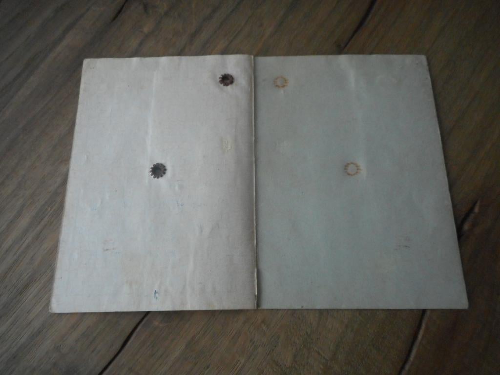 Duitse Kennkarte bijzondere uitvoering, Verzamelen, Verzenden, Duitsland, Embleem of Badge
