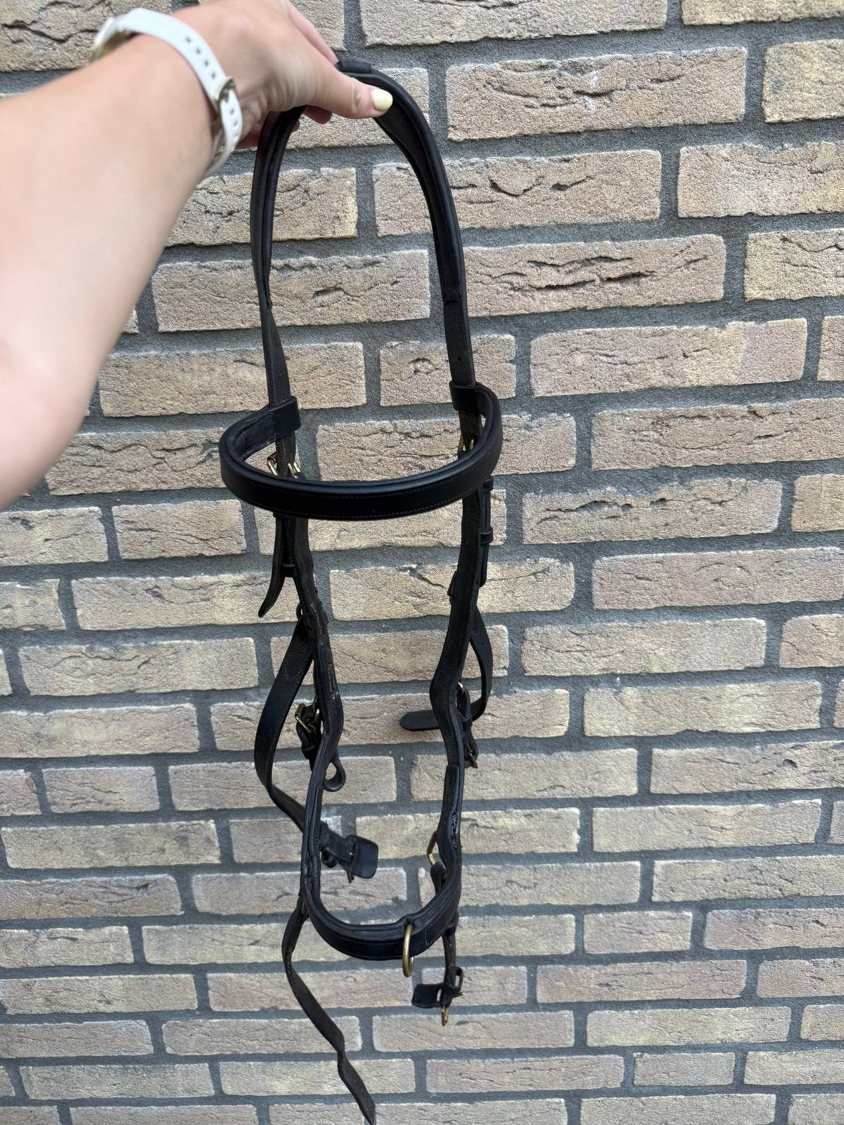 Rambo Micklem Full Multibridle, Dieren en Toebehoren, Ophalen, Rambo, Zo goed als nieuw, Full