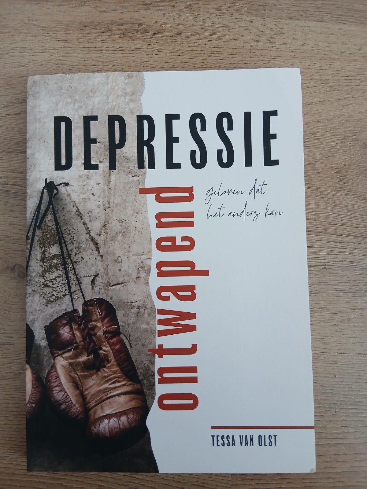 Depressie Ontwapend - Tessa van Olst, Ophalen of Verzenden, Zo goed als nieuw, Tessa van Olst