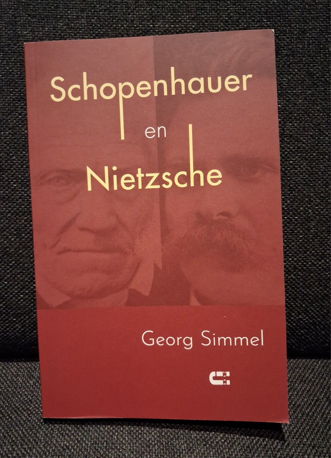 Georg Simmel - Schopenhauer en Nietzsche, Boeken, Filosofie, Ophalen of Verzenden, Zo goed als nieuw