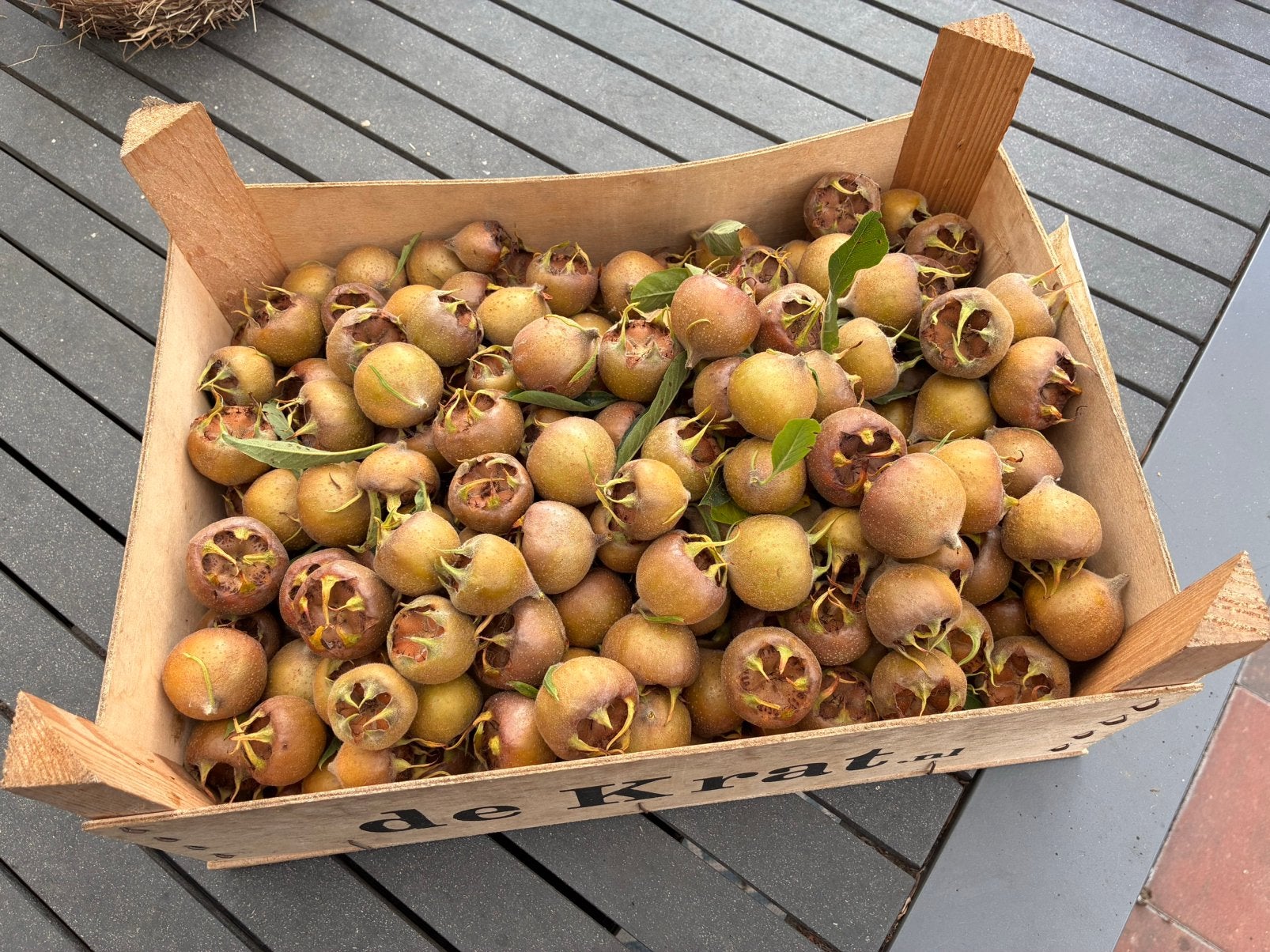 Ruim 5 kilo verse onbespoten mispels, Ophalen of Verzenden