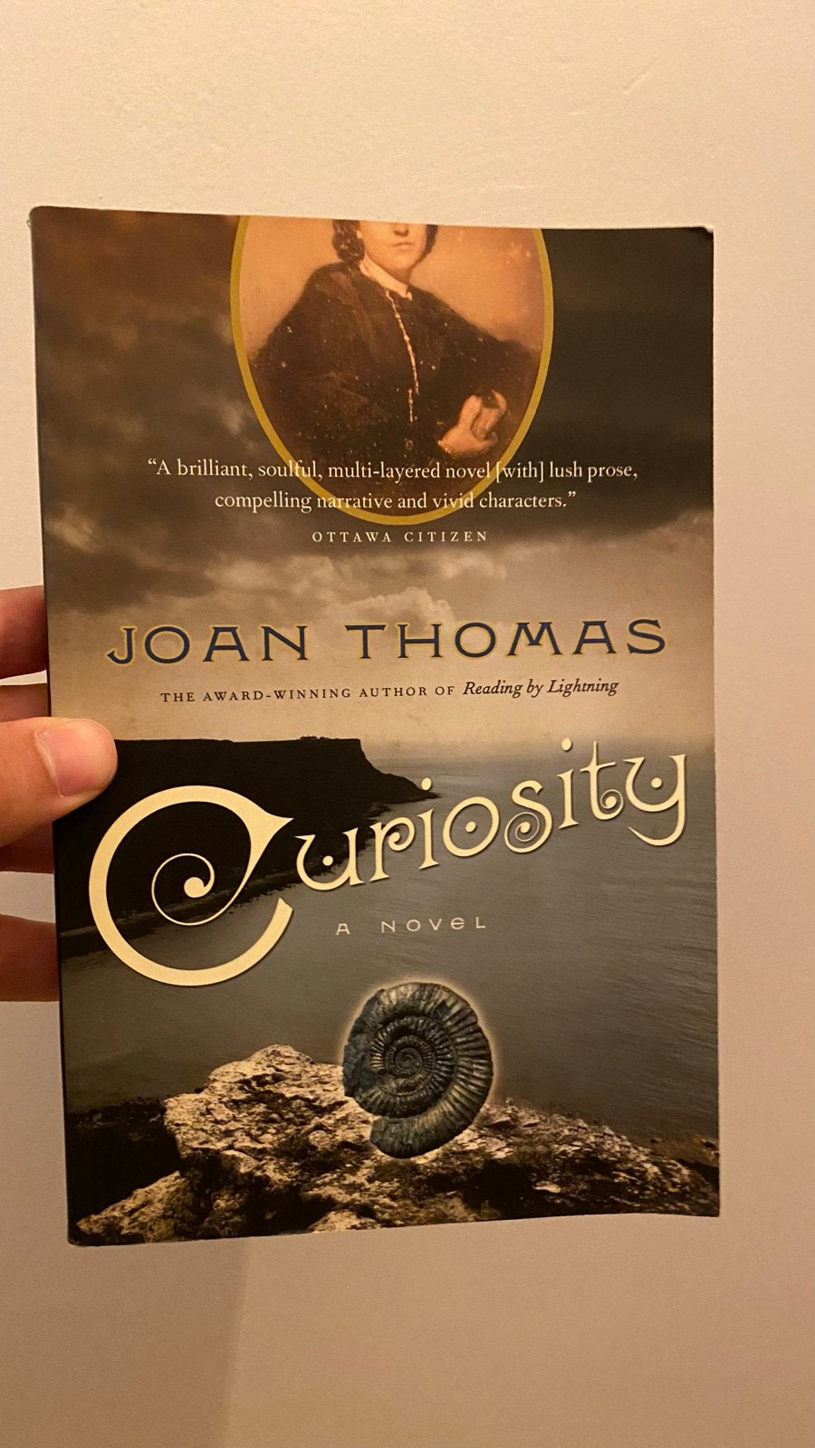 Curiosity - Joan Thomas (Engels), Ophalen of Verzenden, Zo goed als nieuw, Amerika