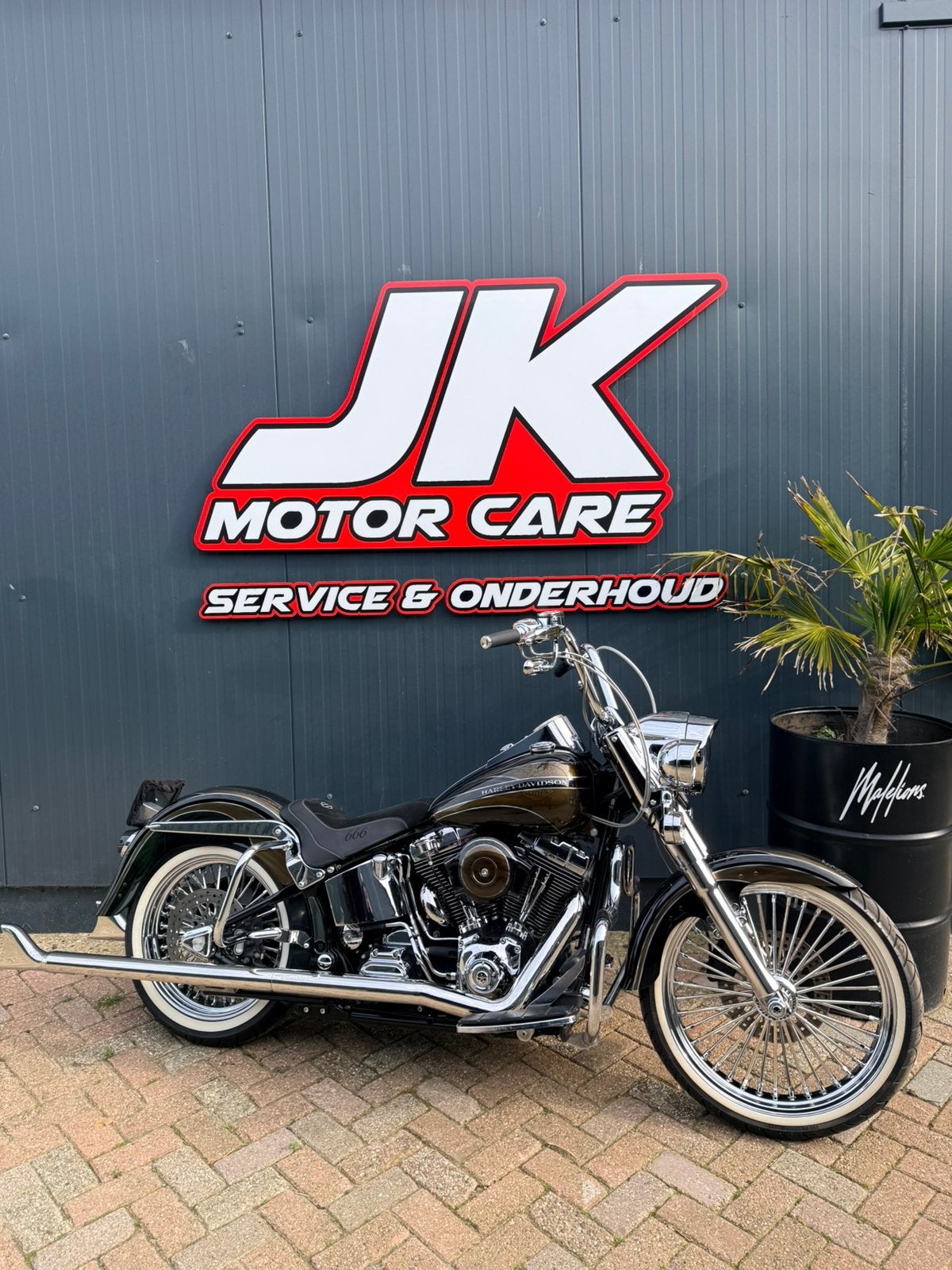 Harley-Davidson Softail Mexican Style  Special Paint, Particulier, Chopper
