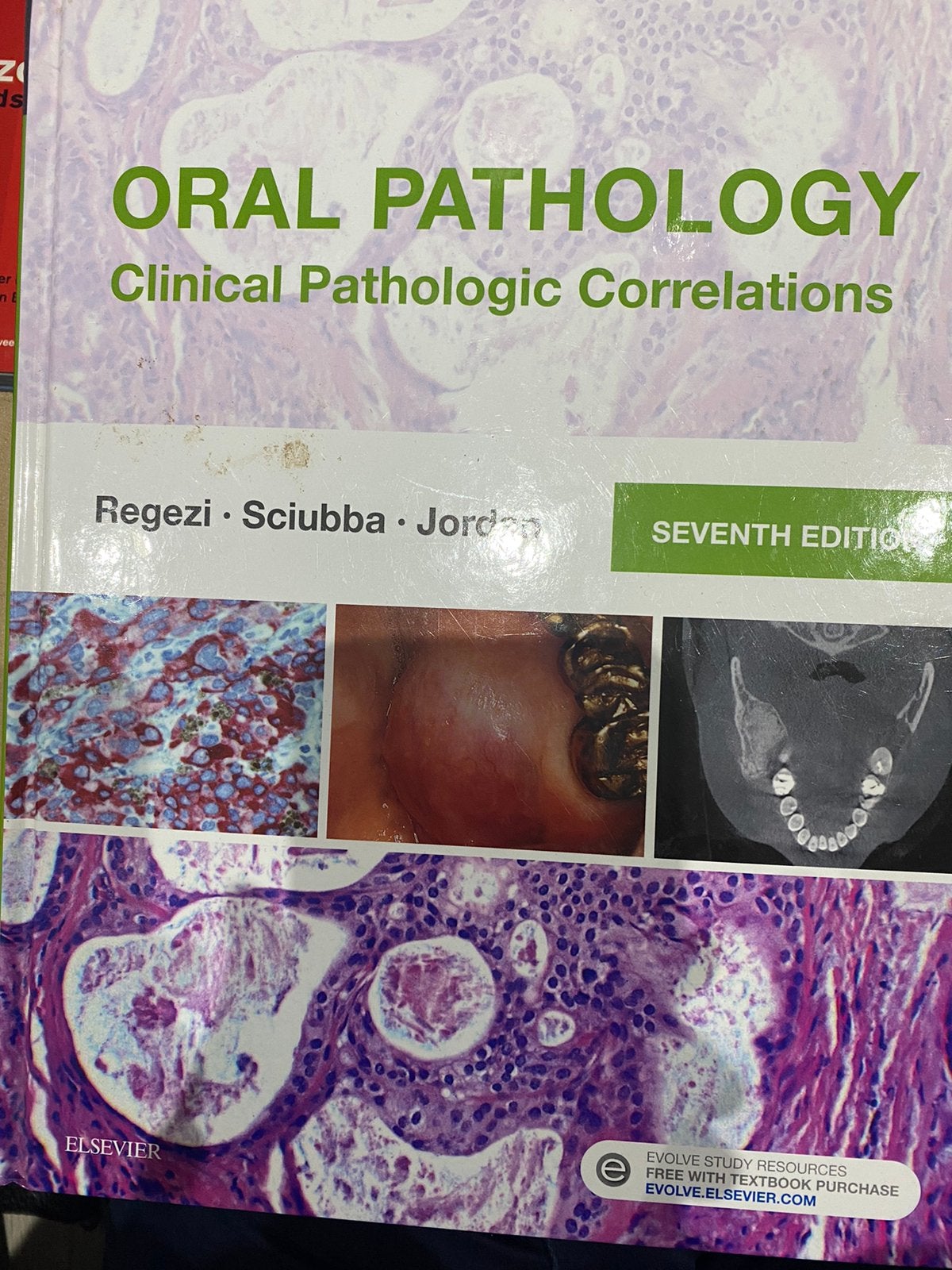 Oral Pathology Clinical pathologic Correlations nieuw, Ophalen of Verzenden, Beta, Nieuw, HBO