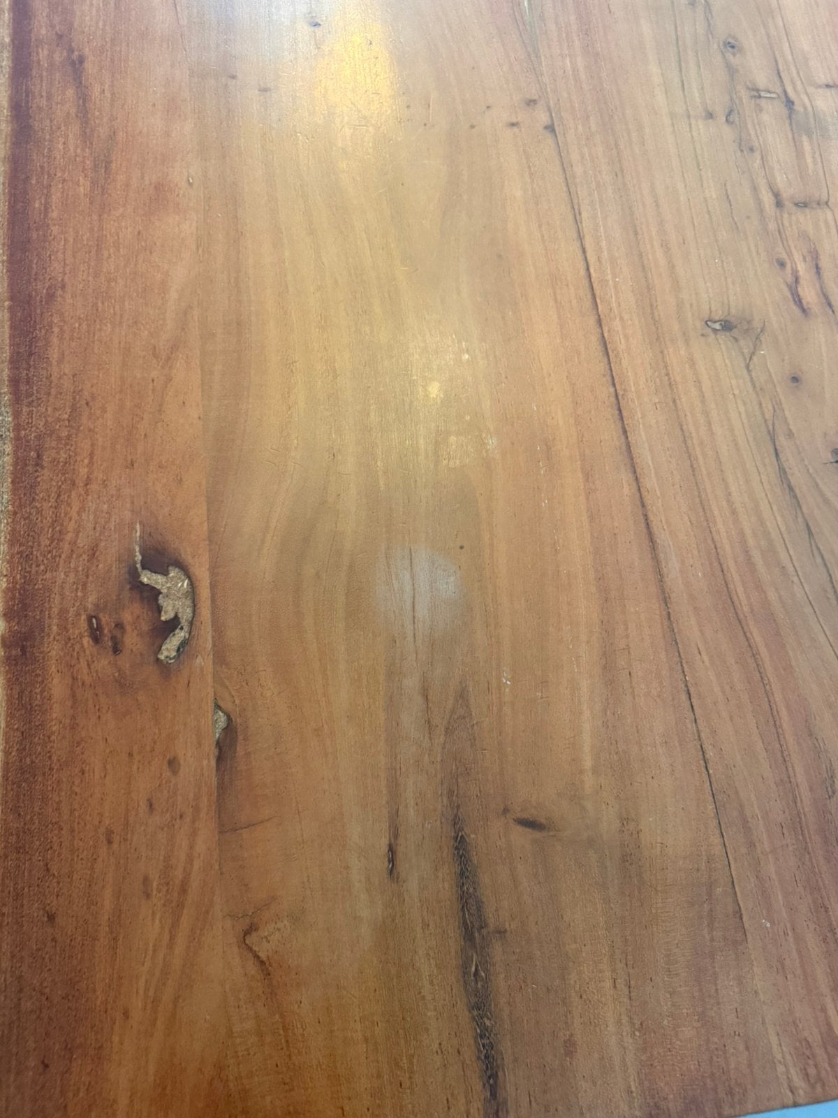Massief boomstam eettafel 250 cm + 8 luxe eetkamerstoelen, Ophalen, 75 m² of meer, Zwart, Zo goed als nieuw