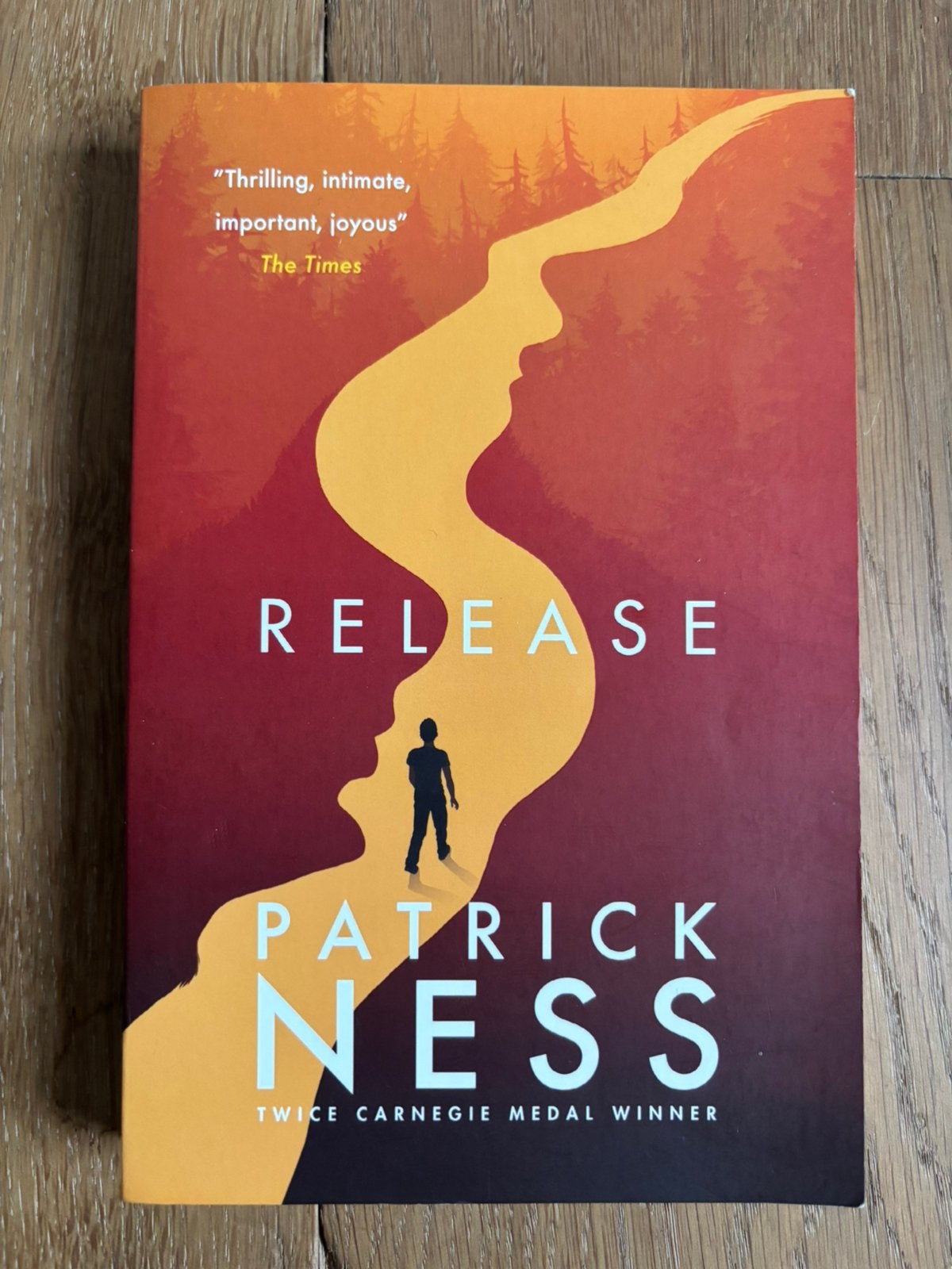 Boek - Release, Boeken, Ophalen of Verzenden, Zo goed als nieuw