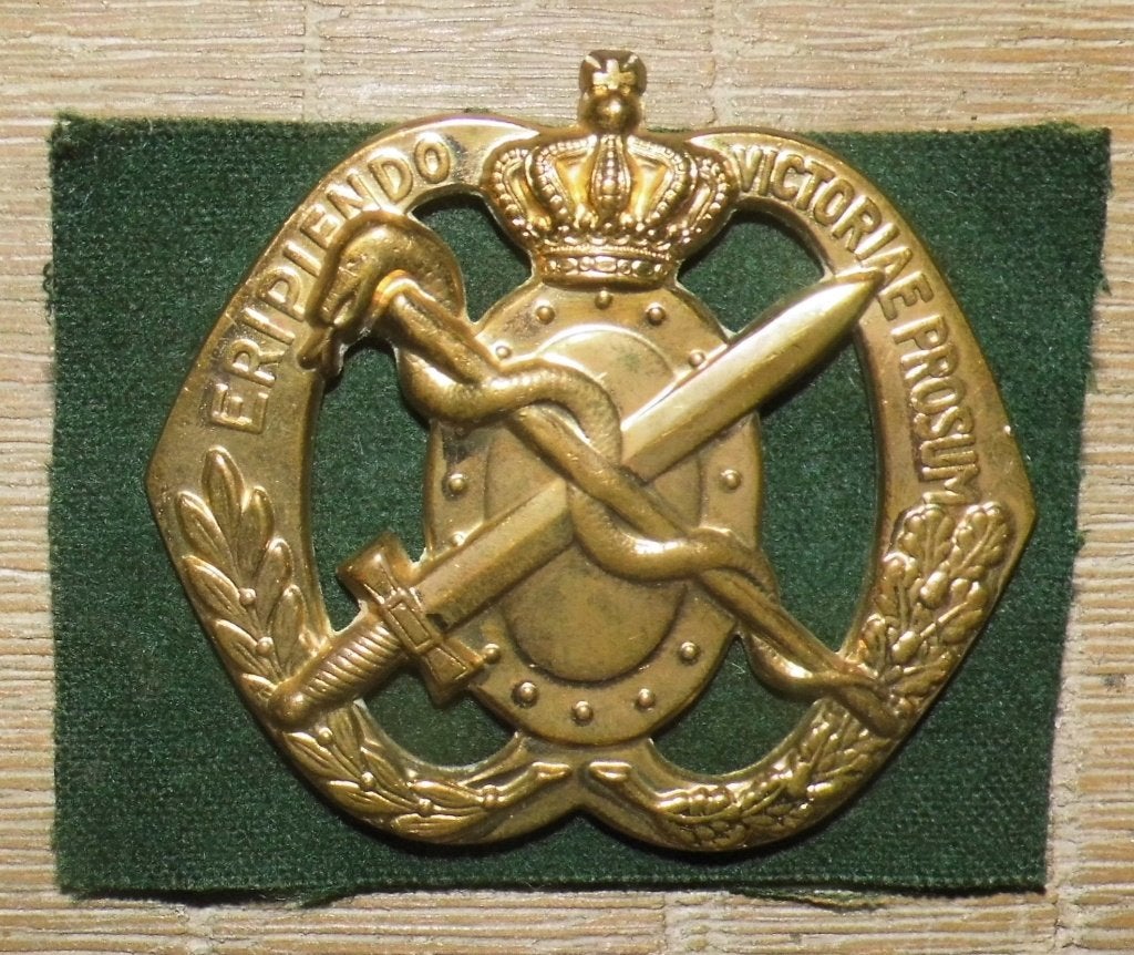 Metalen baret embleem Regiment Geneeskundige Troepen, Verzamelen, Verzenden, Landmacht, Nederland, Embleem of Badge