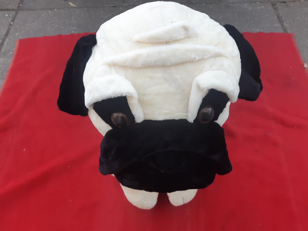 LEUKE MOPS HOND SUPER GEZELLIG 14.95 EURO, Dieren en Toebehoren, Ophalen of Verzenden