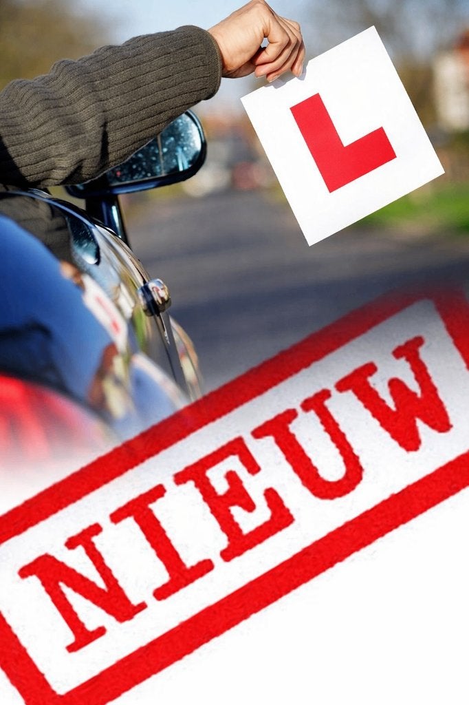 rijinstructeur ris wrm ibki, Verzenden, Beta, Nieuw, Niet van toepassing