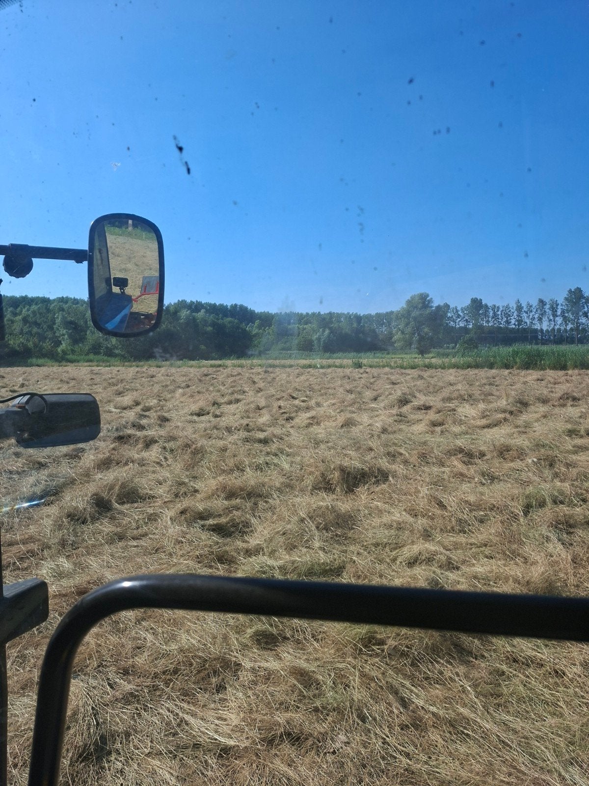 Kruidenrijk hooi te koop af land, woensdag 15/7 persen, Ophalen, Vee