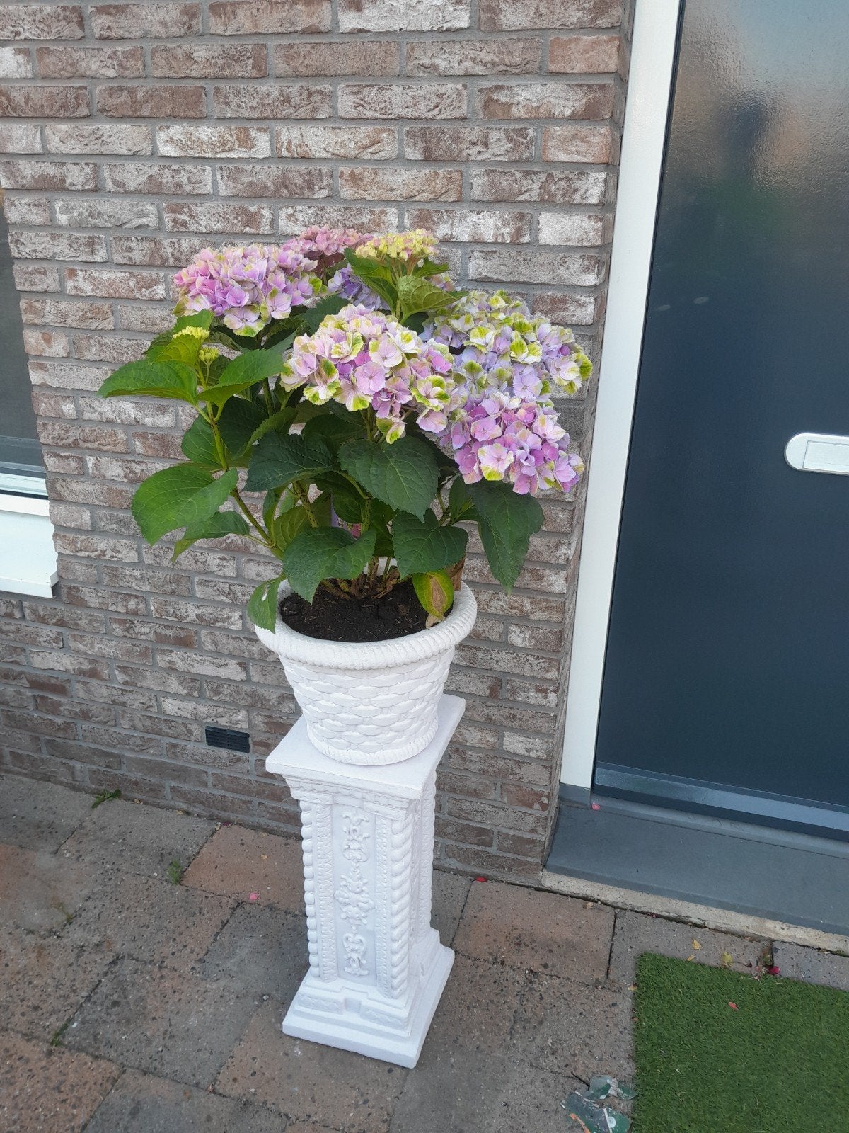 Sokkel met bloempot en plant, Ophalen