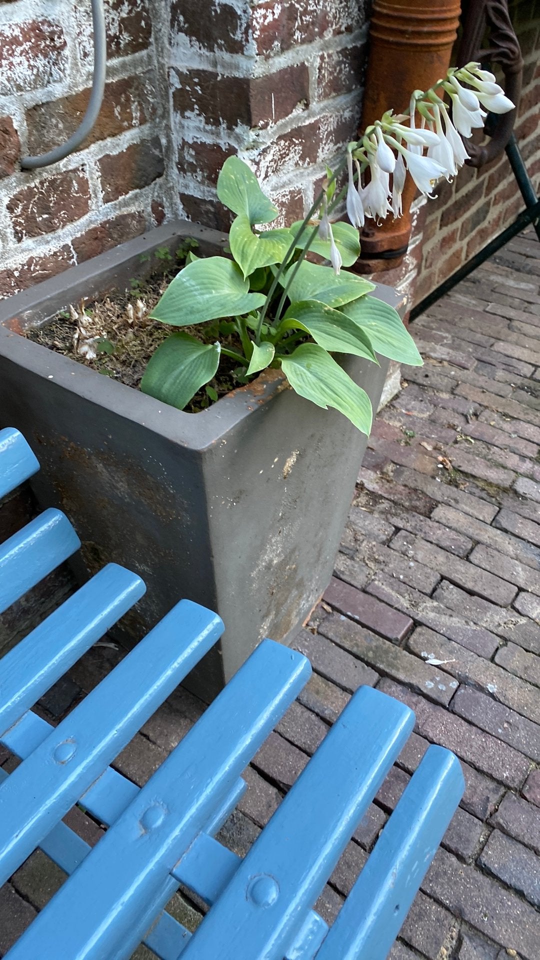 2 Terracotta potten 32x32x51cm, Tuin en Terras, Gebruikt, Vierkant, 40 tot 70 cm, Ophalen