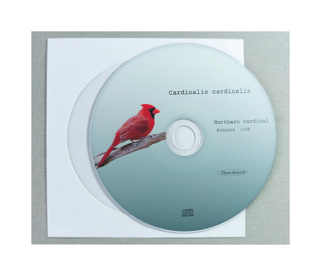 Rode kardinaal, Mannelijk, Tropenvogel, Geringd
