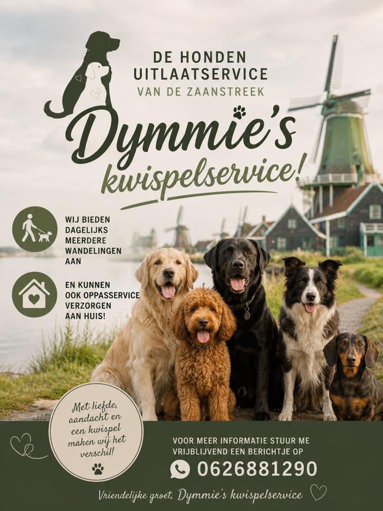 Honden uitlaat- en oppasservice, Uitlaatservice