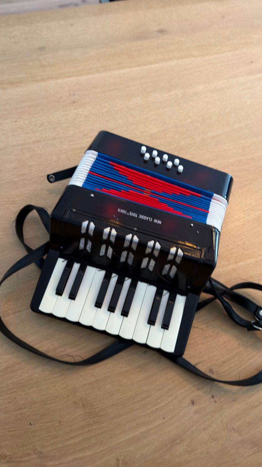 Kinderaccordeon - New Classic Toys 700618, Muziek en Instrumenten, Accordeons, Overige merken, Gebruikt, Met riemen, Overige formaten