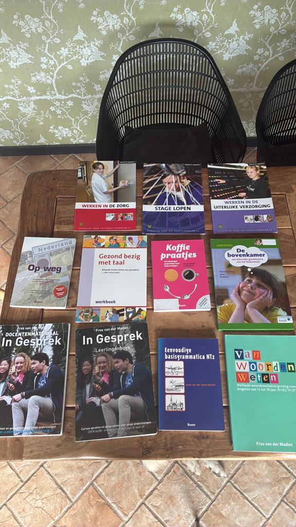 Diverse Nederlandse taalboeken (NT2, grammatica, woordenscha, Ophalen, Alpha, Zo goed als nieuw, Overige niveaus