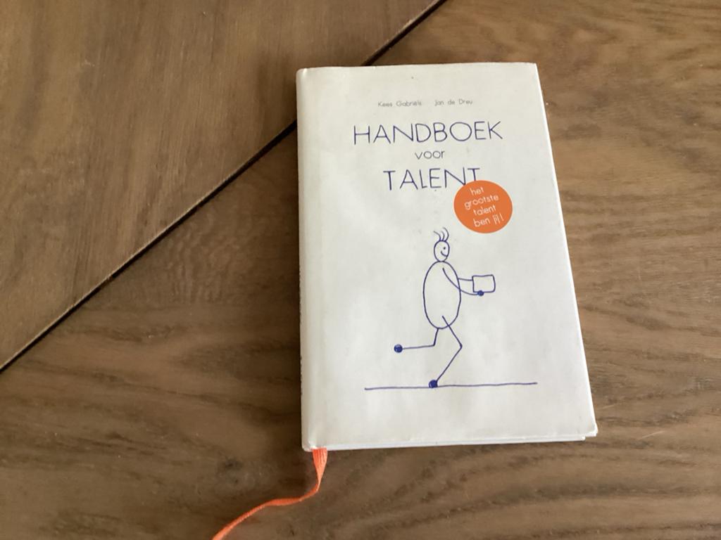 Handboek voor Talent - Ontdek jouw grootste talent, Ophalen of Verzenden, Gelezen