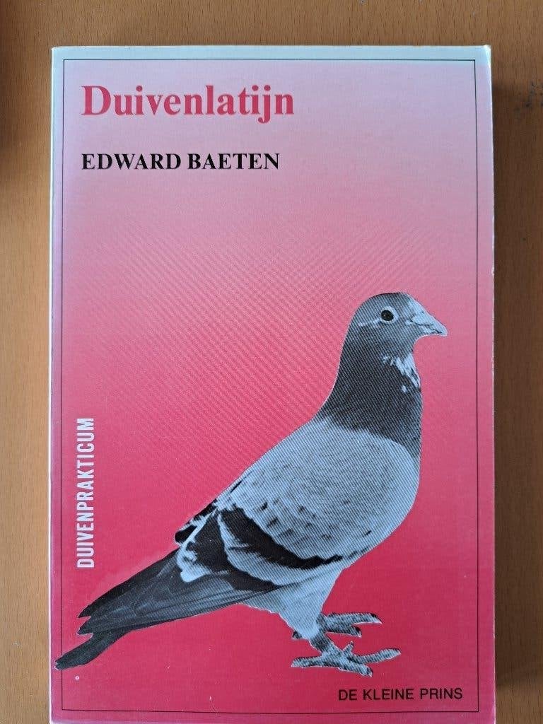 Duiven Latijn postduiven, Ophalen of Verzenden, Zo goed als nieuw, Vogels