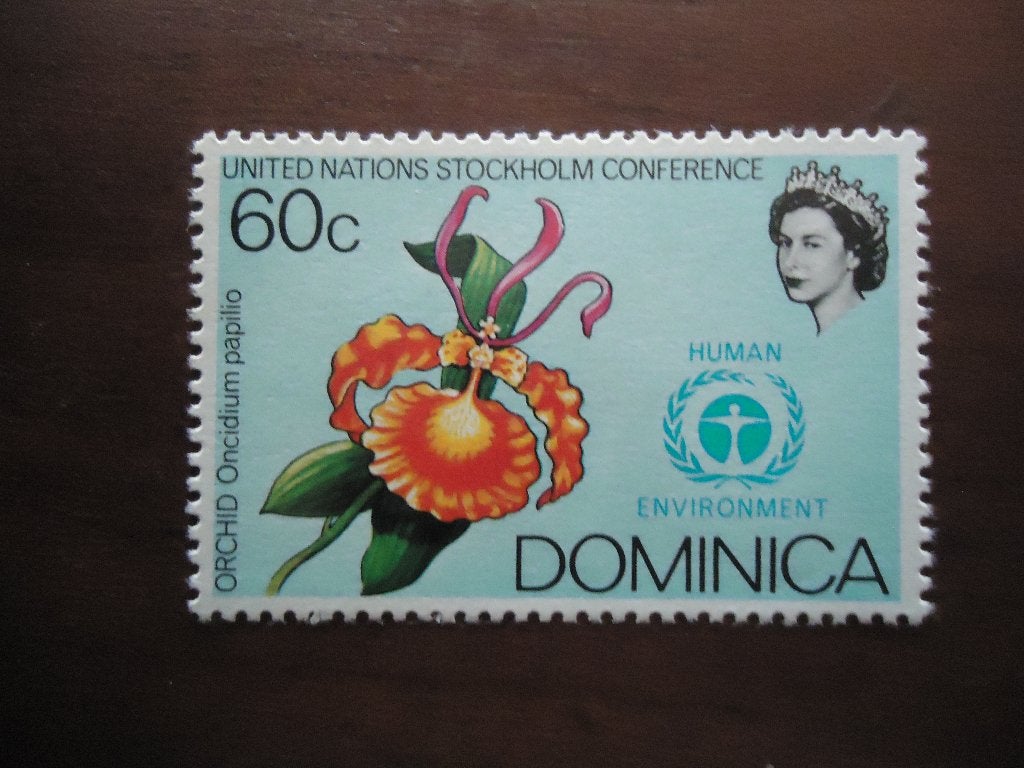 Flora Orchidee Dominica 1972, mi. 339 postfris, Ophalen of Verzenden, Postfris, Dier of Natuur