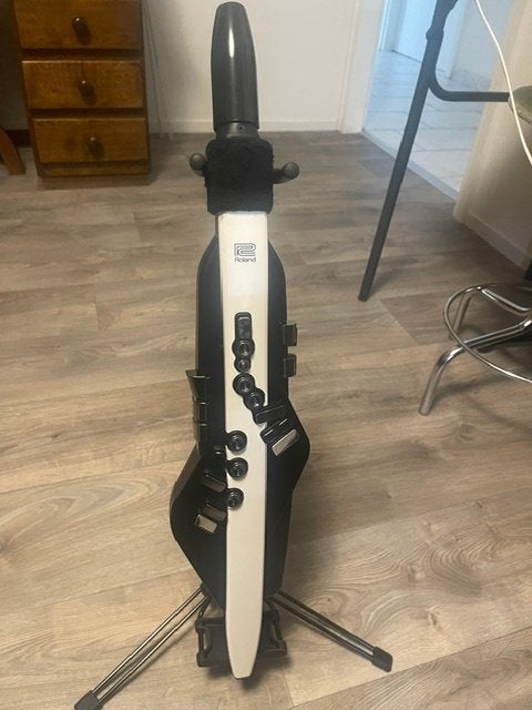 Roland Aerophone AE-20, Ophalen, Zo goed als nieuw, Overige typen, Met koffer