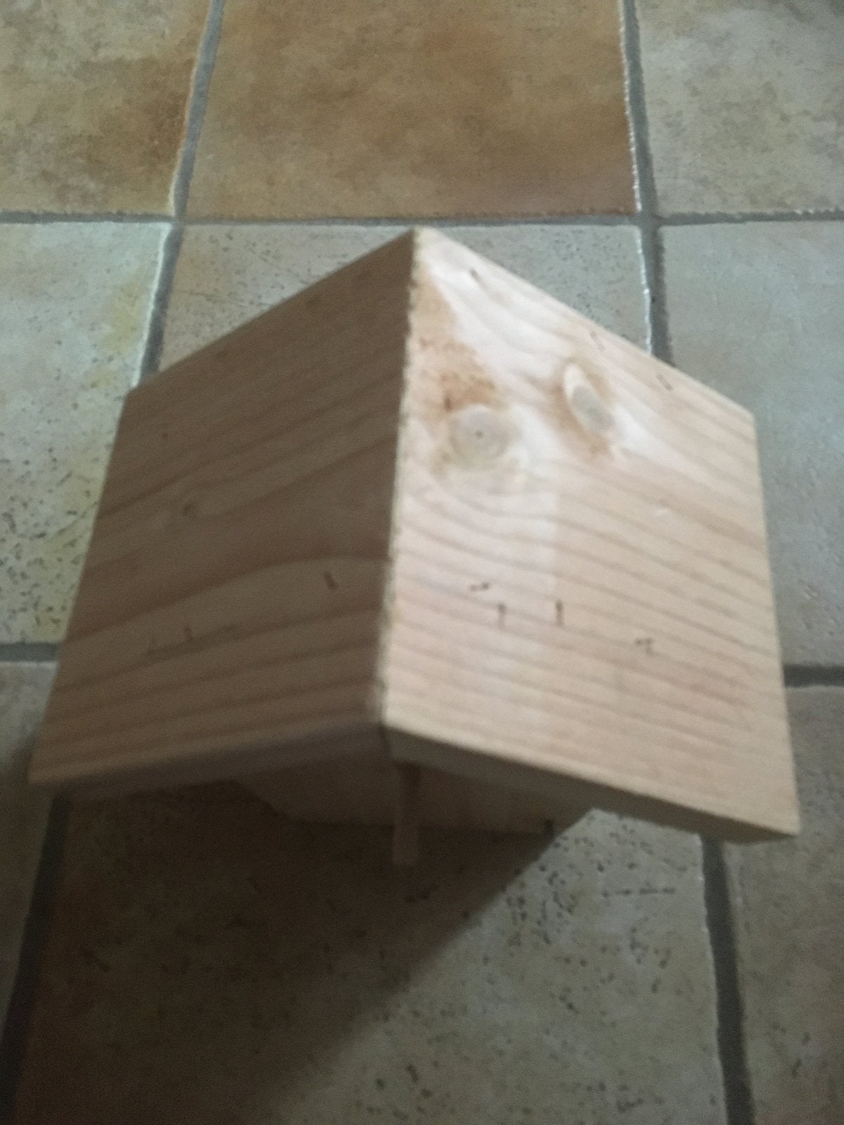 Vogelhuisje nestkast van koolmees en pimpelmees, Ophalen of Verzenden, Nieuw