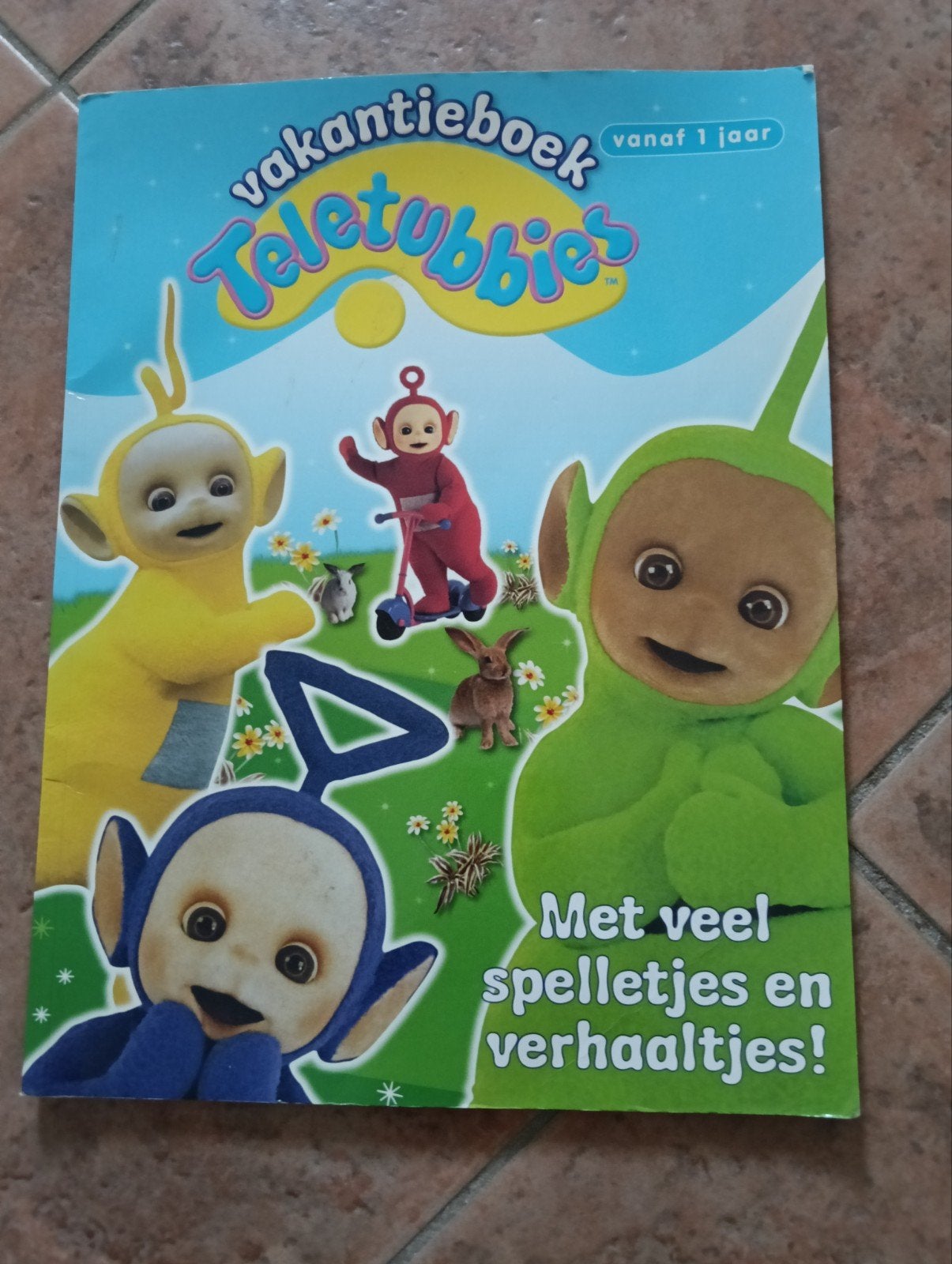 Teletubbies vakantieboek 2010, Boeken, Ophalen of Verzenden, Zo goed als nieuw