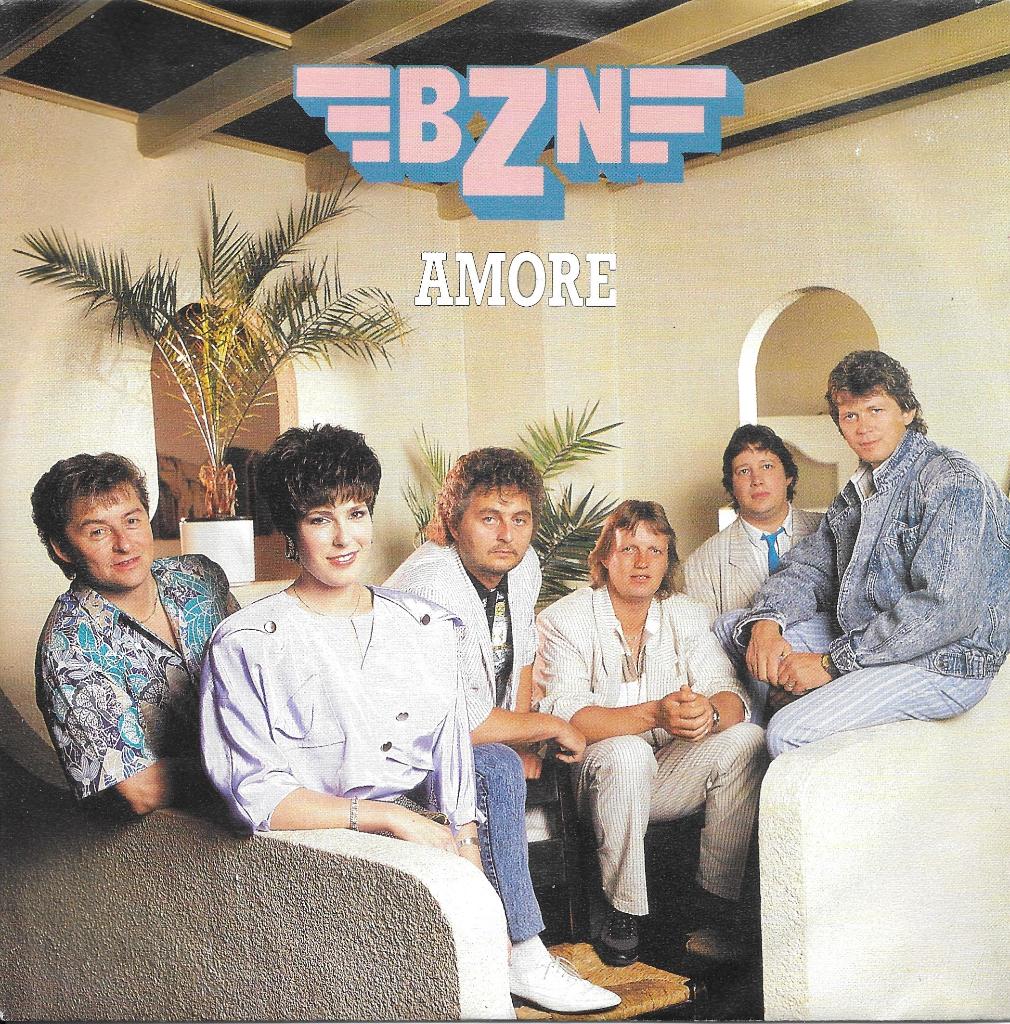 Vinyl Single BZN, Ophalen of Verzenden, Gebruikt, Pop