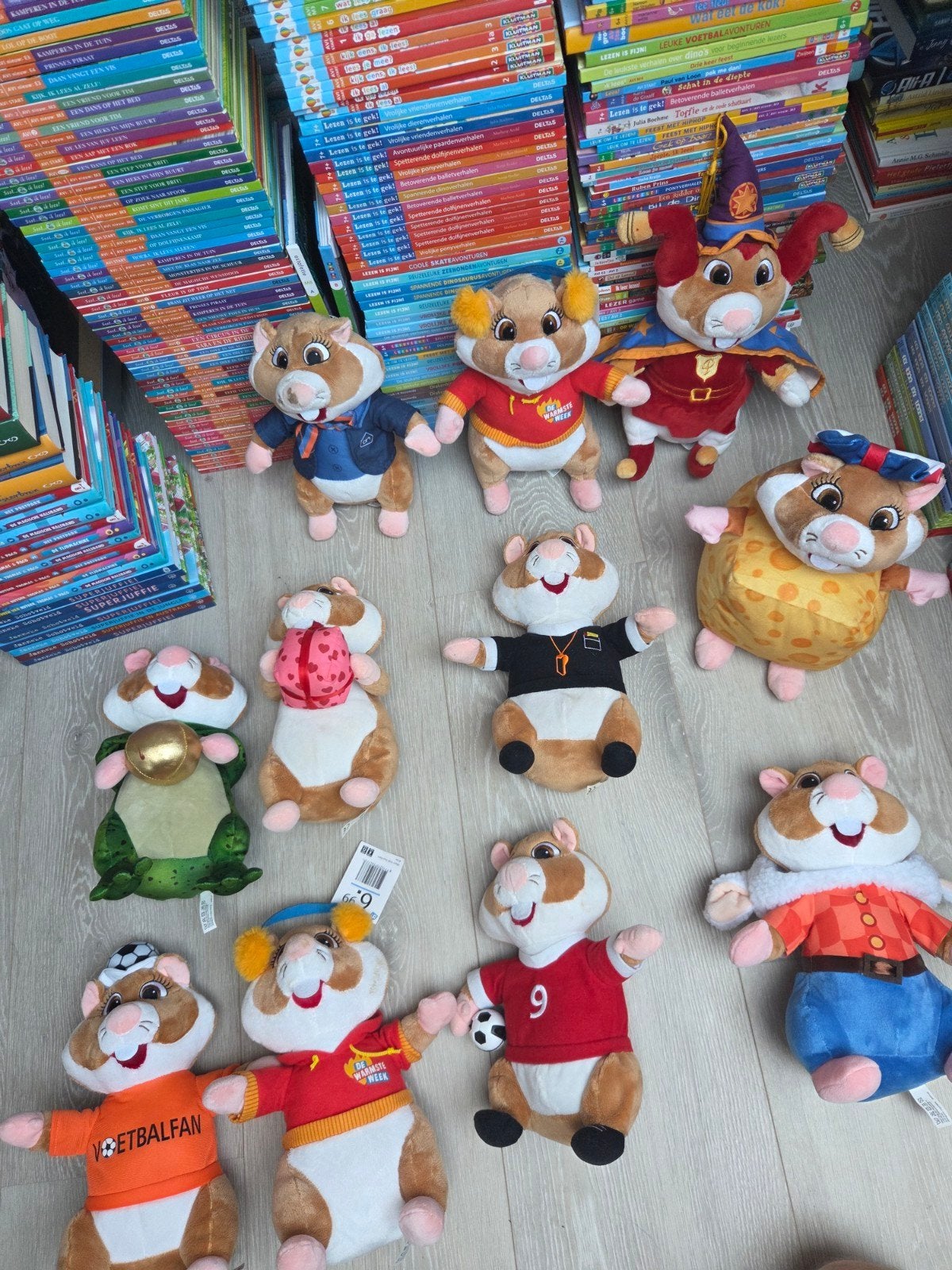 AH Hamsters, Ophalen of Verzenden, Zo goed als nieuw, Overige typen