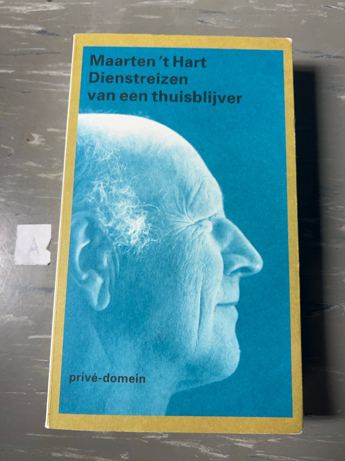 Maarten 't Hart - Dienstreizen van een thuisblijver, Boeken, Ophalen of Verzenden, Zo goed als nieuw, Overige