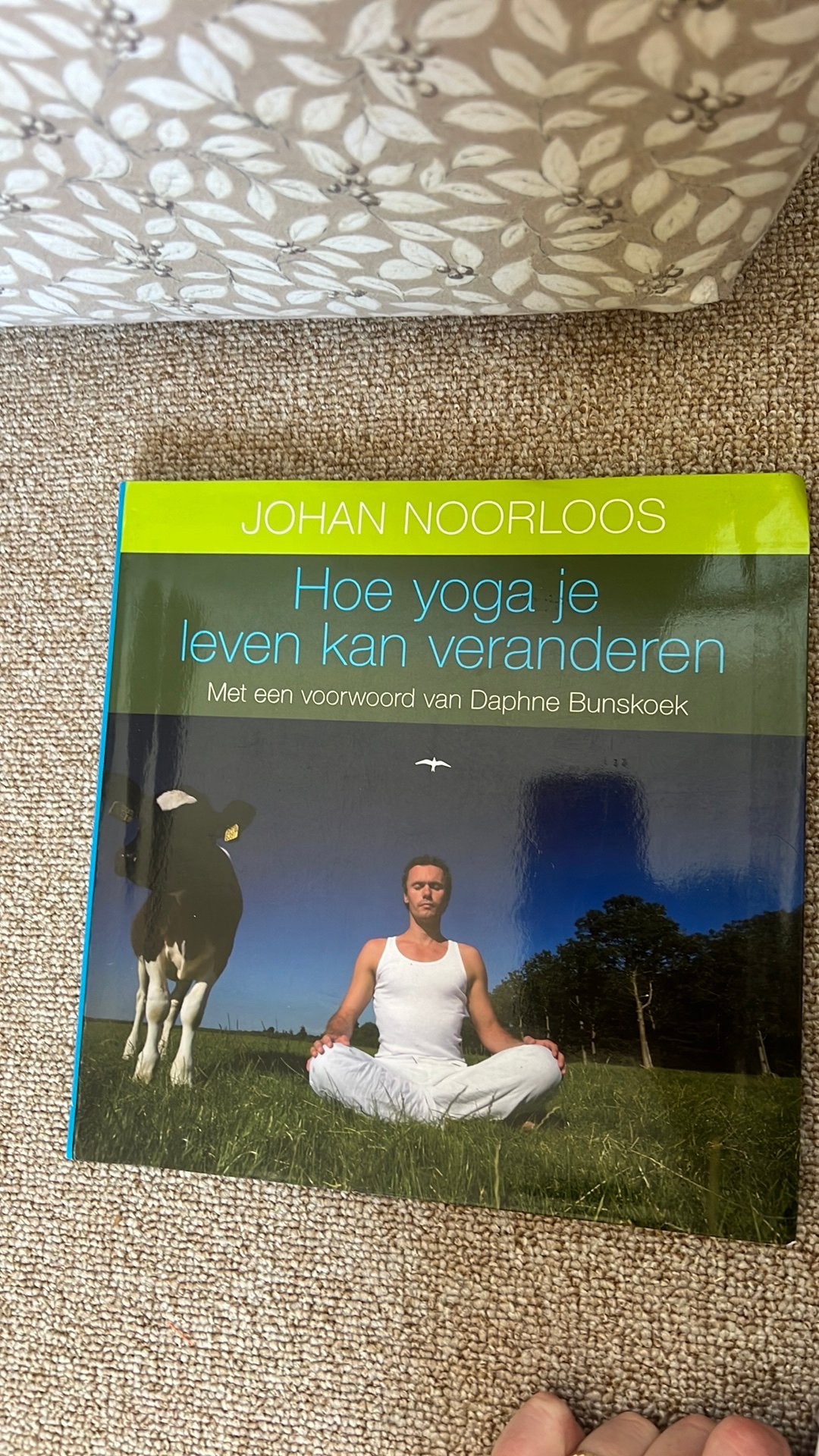 Johan Noorloos - Hoe yoga je leven kan veranderen, Ophalen of Verzenden, Zo goed als nieuw, Johan Noorloos