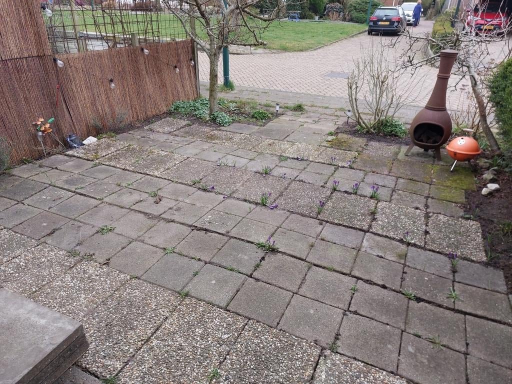 Gratis tegels, Gebruikt, Ophalen of Verzenden, 10 m² of meer, Beton