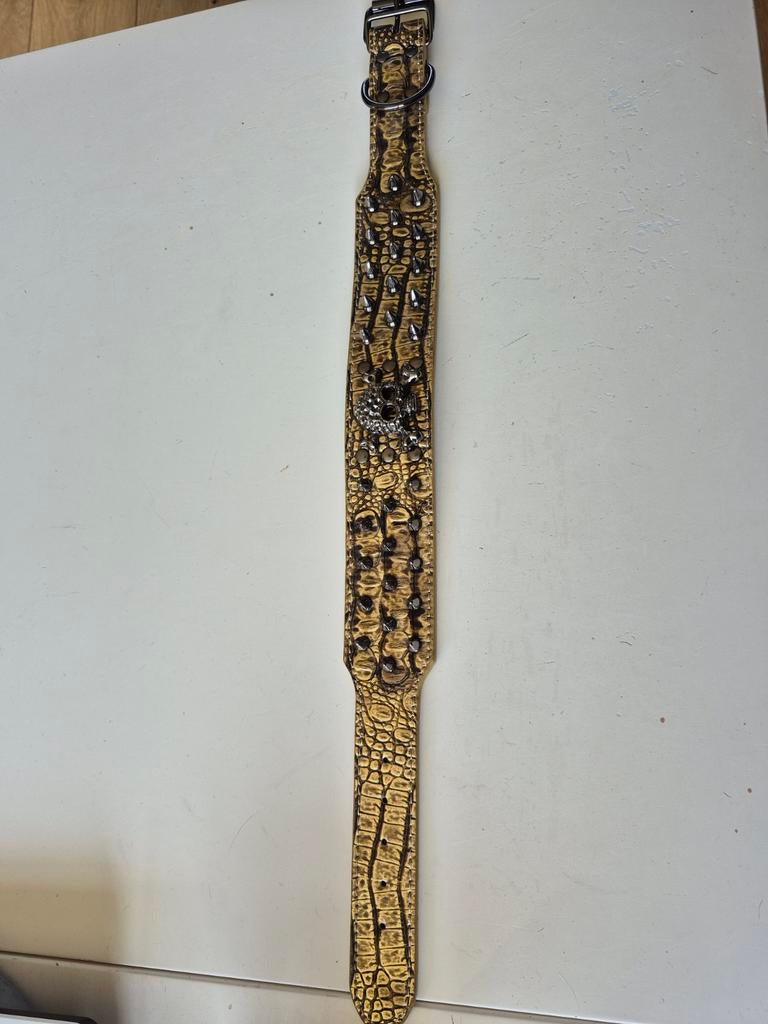 Halsband hond 58 cm, Ophalen