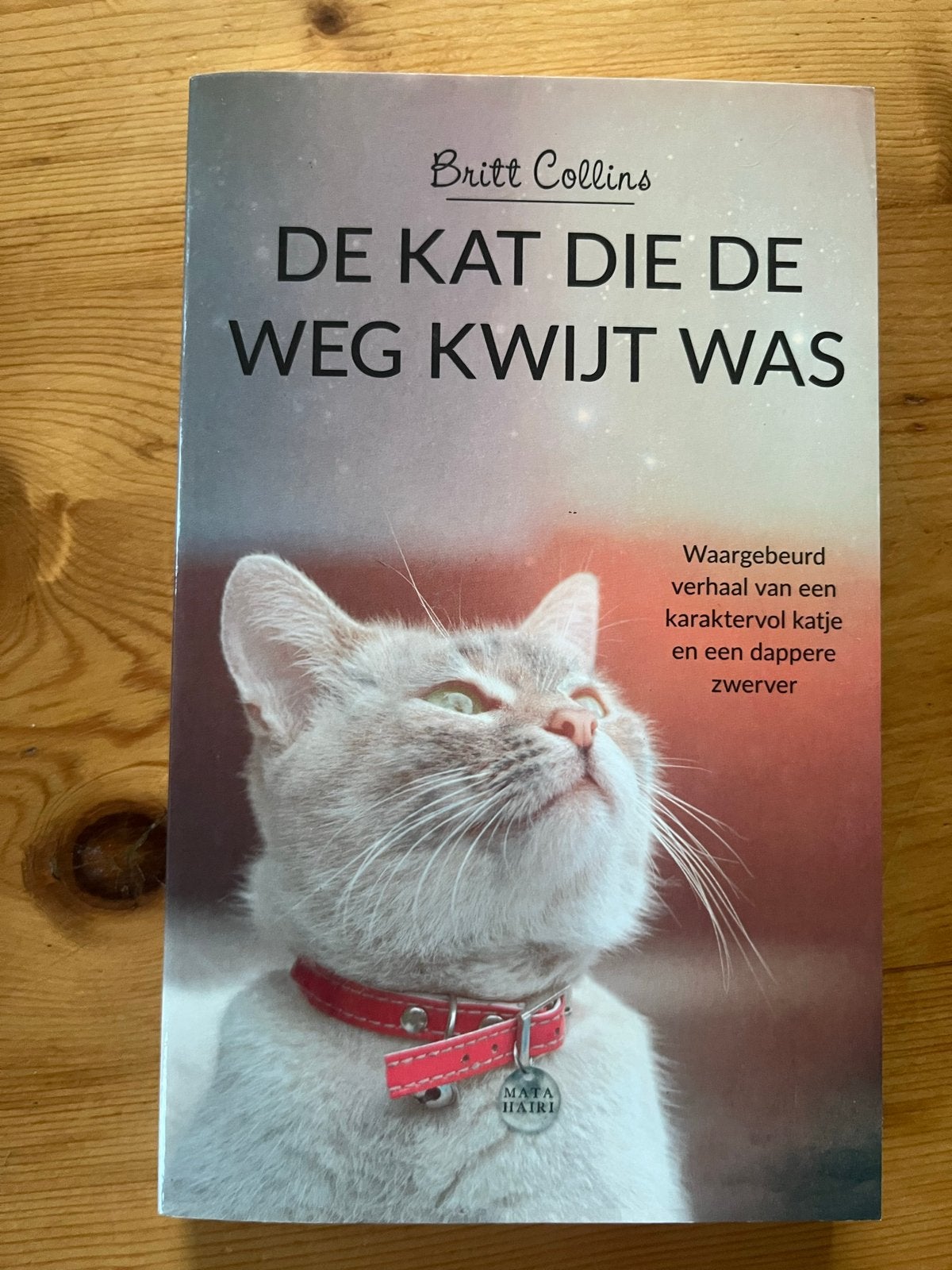 De Kat Die De Weg Kwijt Was - Britt Collins (Zo goed als nie, Ophalen of Verzenden, Zo goed als nieuw, Katten