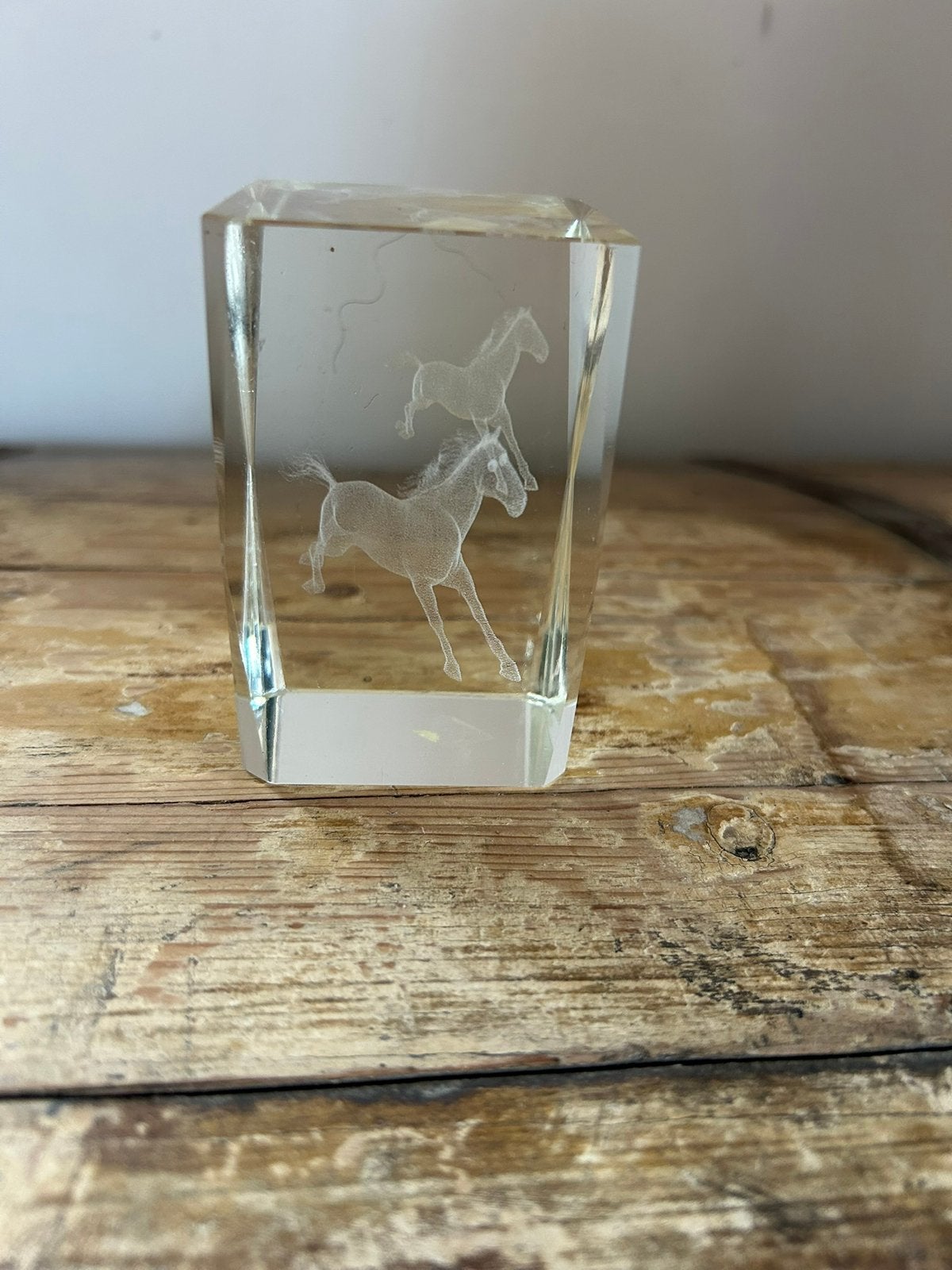 1x paardensport trofee, Dieren en Toebehoren, Ophalen of Verzenden, Nieuw