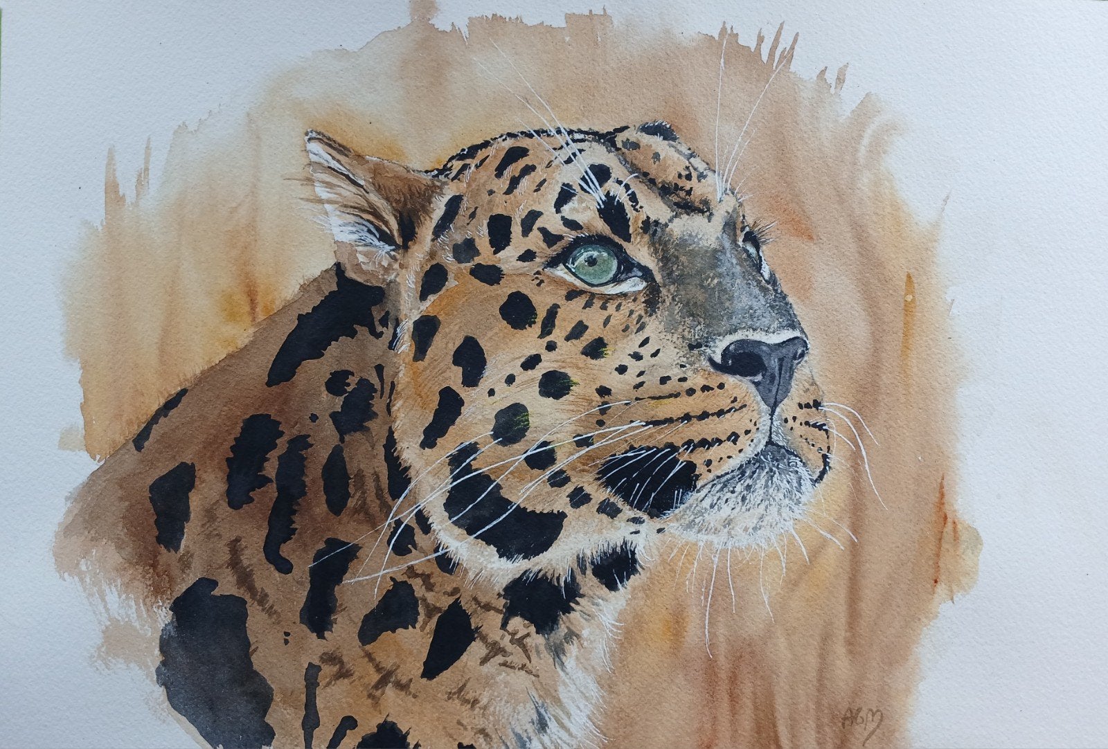 Aquarel panter, Ophalen of Verzenden