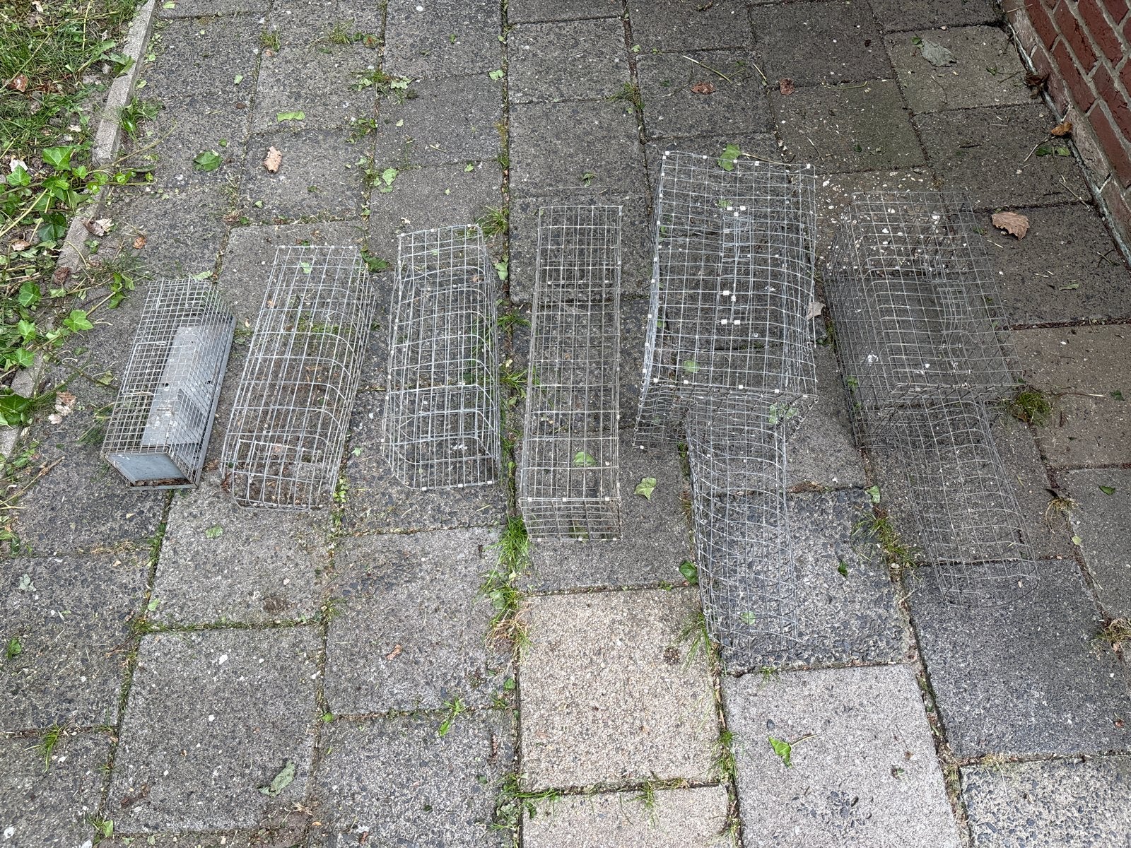 Hokjes, Ophalen, Hout, Vogelkooi