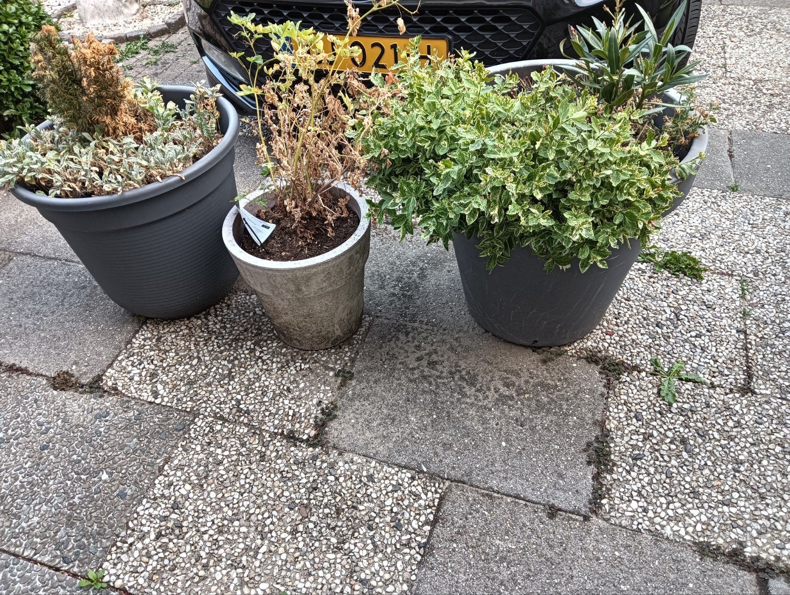 plantenbakken, Ophalen, Rond, Kunststof, Minder dan 30 cm