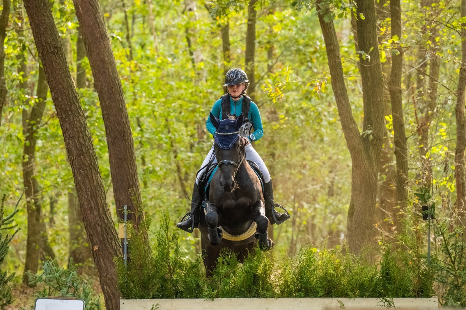 Te koop: 6-jarige eventingpony, Dieren en Toebehoren, Merrie, E pony (1.48m - 1.57m)