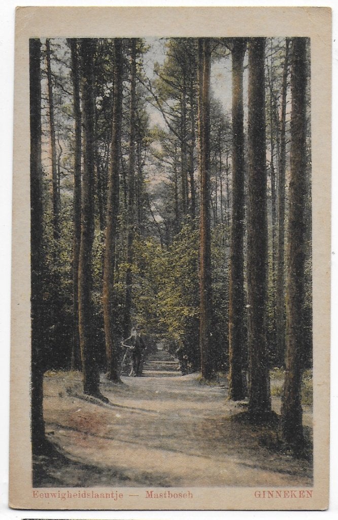 Ginneken Mastbosch Oude Ongelopen Ansichtkaart ( B1747), Ophalen of Verzenden, 1940 tot 1960, Ongelopen