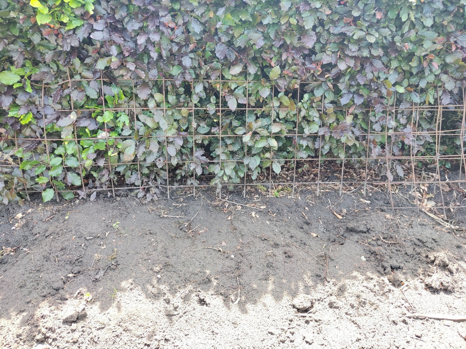 Betonnet 2 stukken, Ophalen, Gebruikt, 10 tot 20 meter, Gaas
