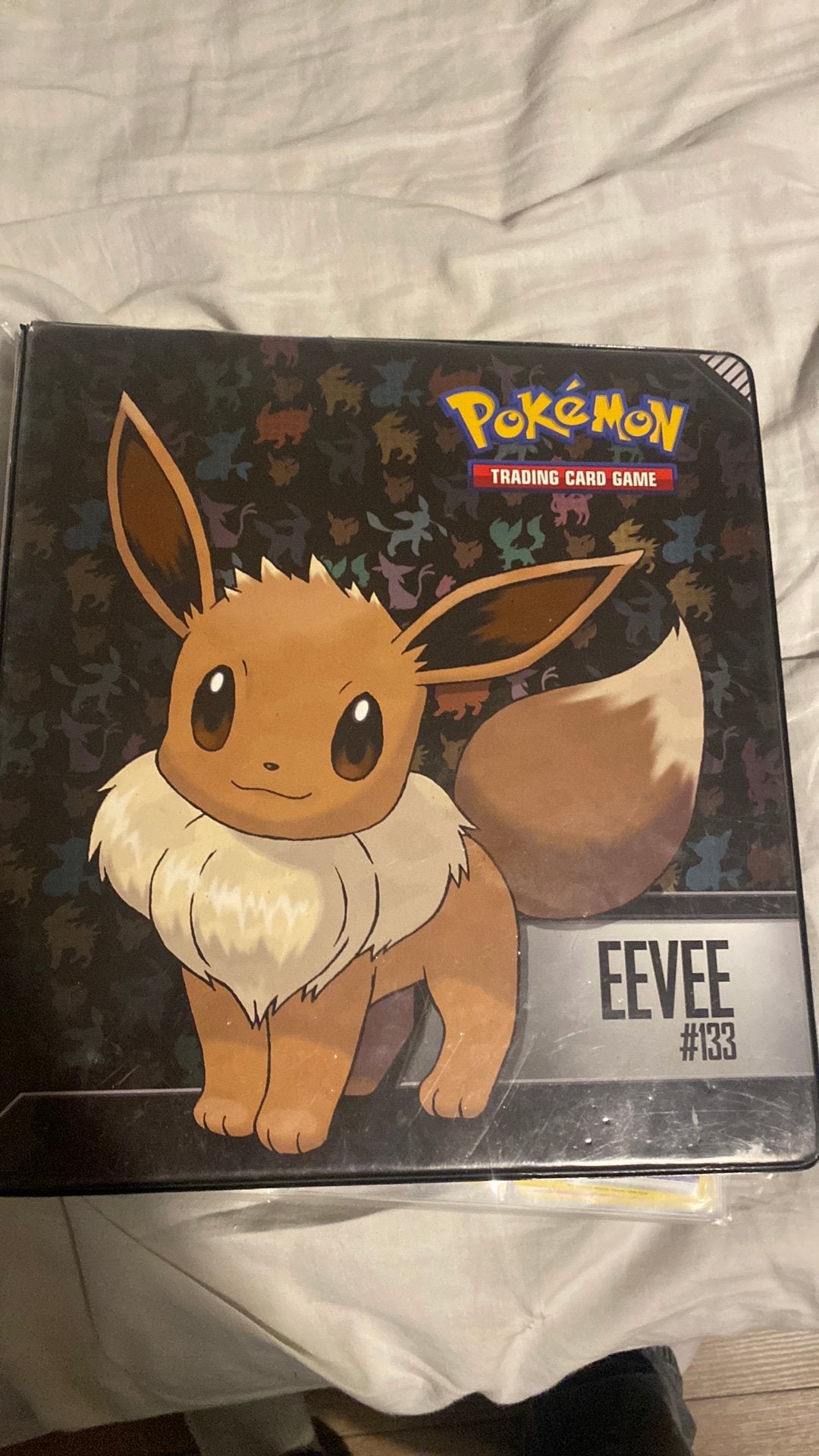 Pokemon boek, Ophalen of Verzenden, Zo goed als nieuw