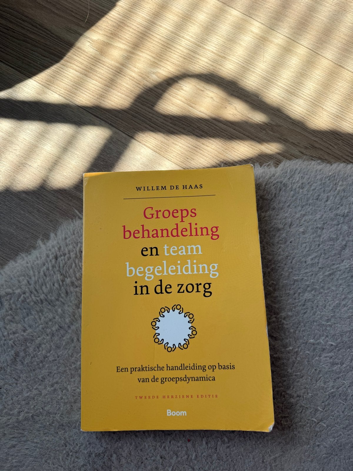 Groepsbehandeling en Teambegeleiding in de Zorg, Ophalen of Verzenden, Gamma, Zo goed als nieuw, HBO