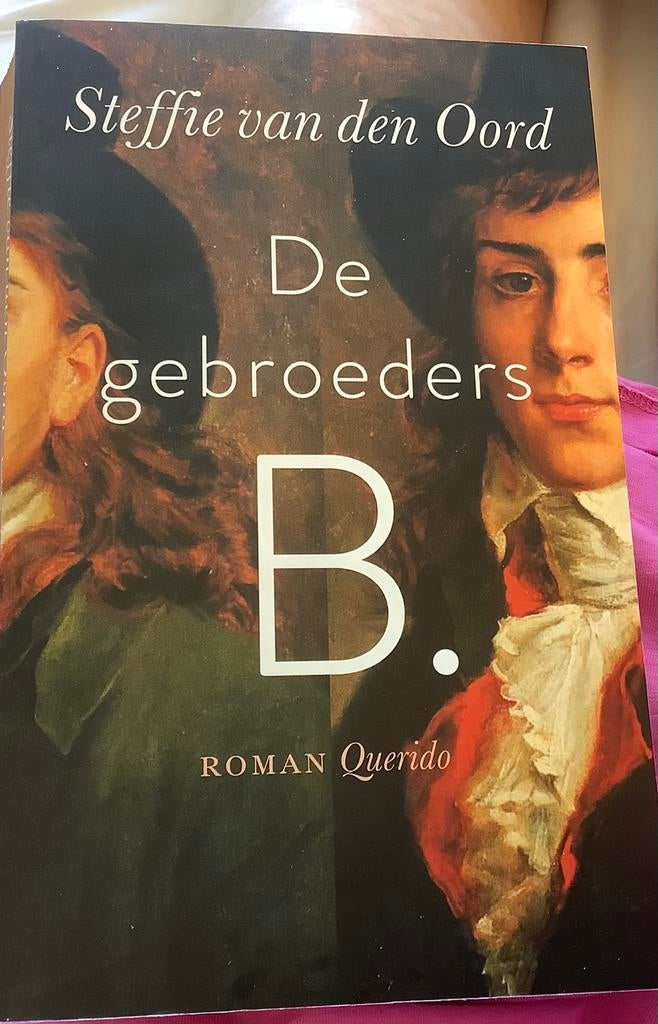 Steffie van den Oord - De gebroeders B., Verzenden, Zo goed als nieuw, Steffie van den Oord