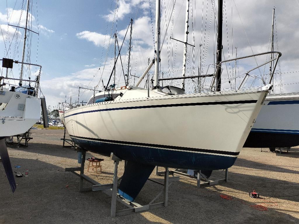 Gib 'Sea 242, Ophalen, Gebruikt, Polyester, Benzine